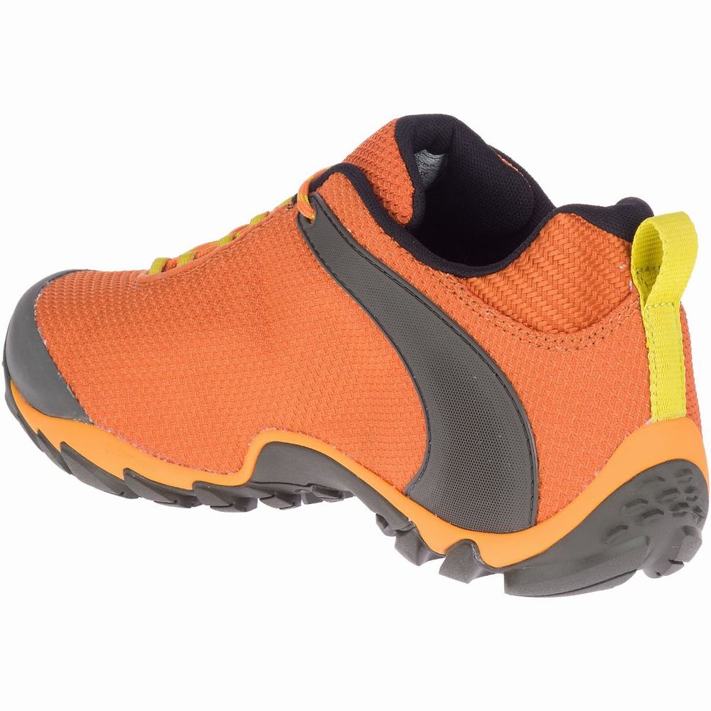 Merrell chameleon cheap storm